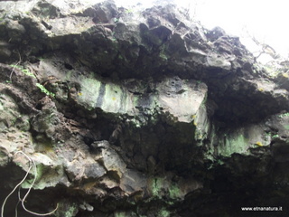 conco di Liricio-24-03-2013 10-22-10